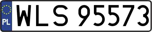 WLS95573