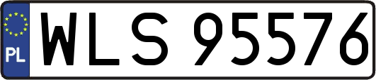 WLS95576