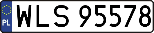 WLS95578