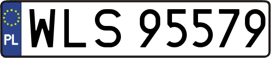WLS95579