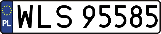 WLS95585