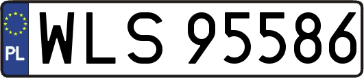 WLS95586