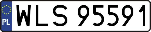 WLS95591