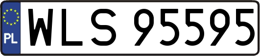 WLS95595