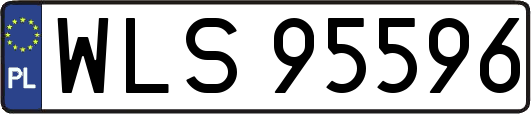 WLS95596