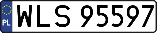 WLS95597