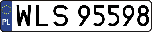 WLS95598