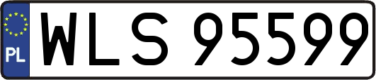 WLS95599