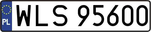 WLS95600