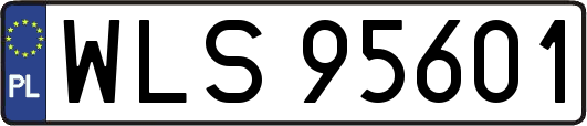 WLS95601