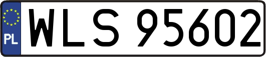 WLS95602