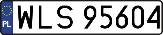 WLS95604