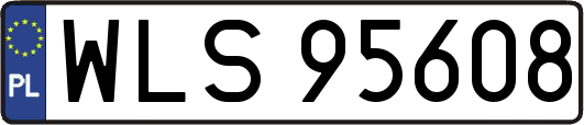 WLS95608