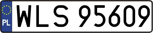 WLS95609