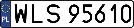 WLS95610