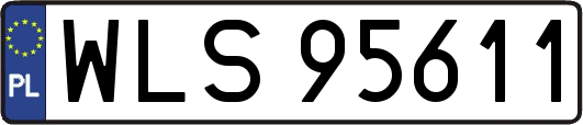 WLS95611
