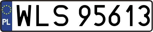 WLS95613