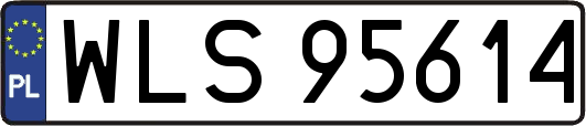 WLS95614
