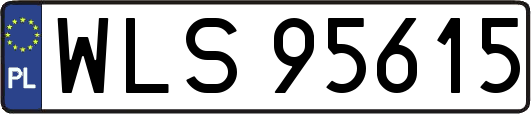 WLS95615