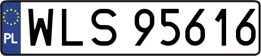 WLS95616