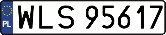 WLS95617
