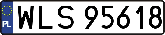 WLS95618