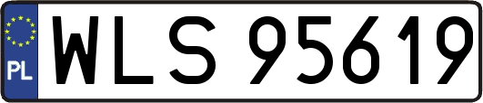 WLS95619