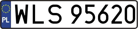 WLS95620