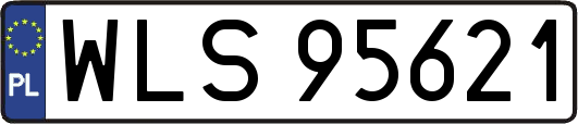 WLS95621
