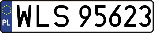 WLS95623