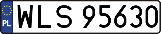 WLS95630