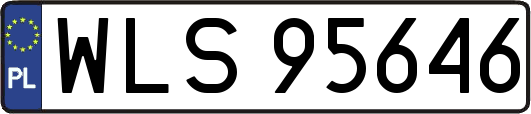 WLS95646