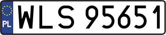 WLS95651