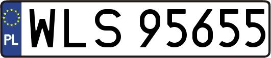 WLS95655