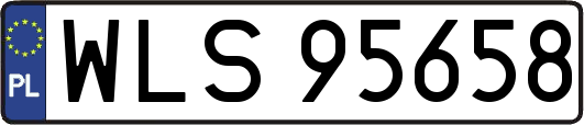 WLS95658