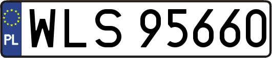 WLS95660
