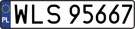 WLS95667