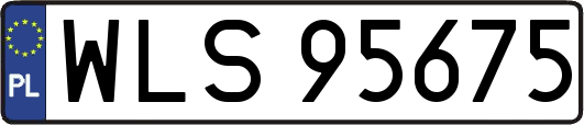 WLS95675
