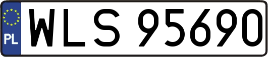 WLS95690