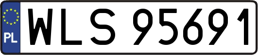 WLS95691