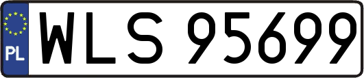 WLS95699
