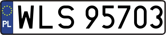 WLS95703