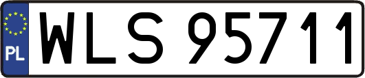 WLS95711