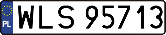 WLS95713