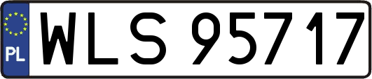 WLS95717