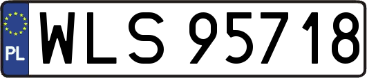 WLS95718