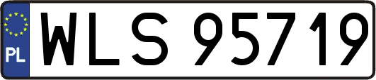 WLS95719