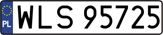 WLS95725