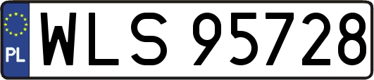 WLS95728