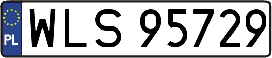 WLS95729